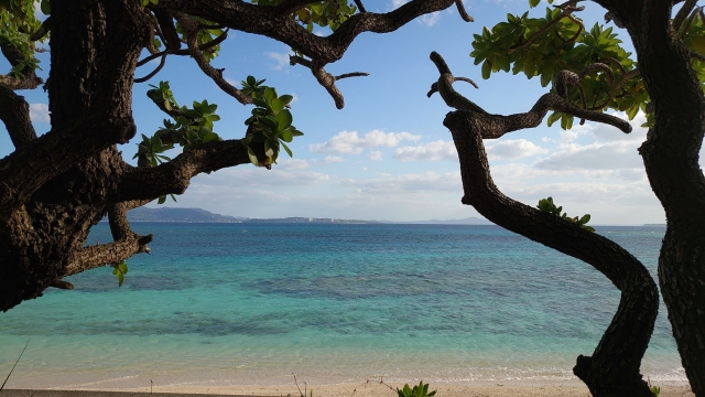伊江島ハイビスカスと湧出の神秘！自然に癒される沖縄離島の過ごし方
