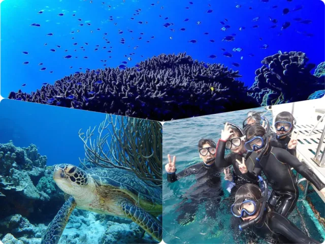慶良間島 シュノーケリング
