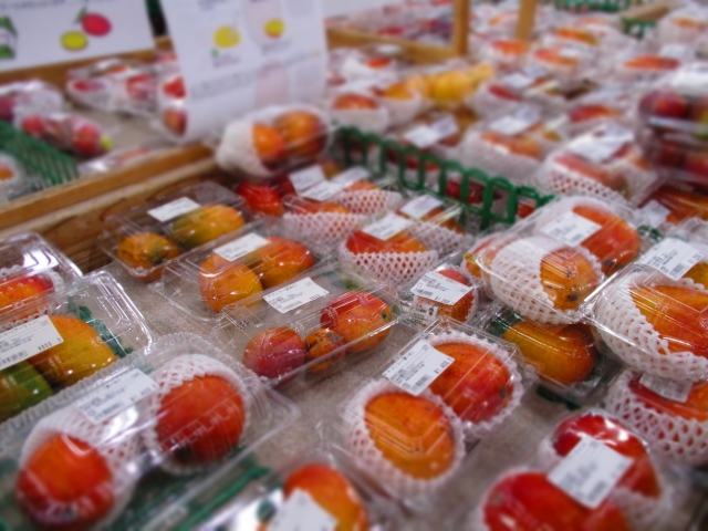 沖縄の絶品マンゴーをお土産に！旬の時期やおすすめの直売所・道の駅を紹介