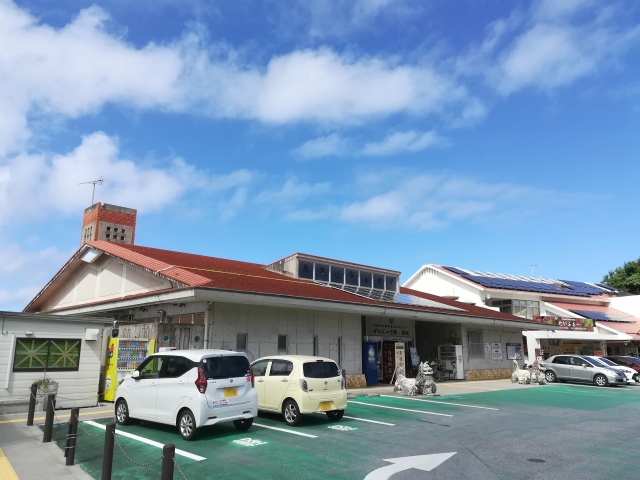 沖縄の絶品マンゴーをお土産に！旬の時期やおすすめの直売所・道の駅を紹介