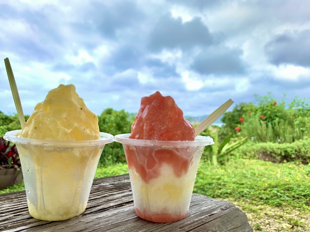 沖縄の夏にぴったり！ブルーシールアイスとぜんざいの美味しいお店まとめ