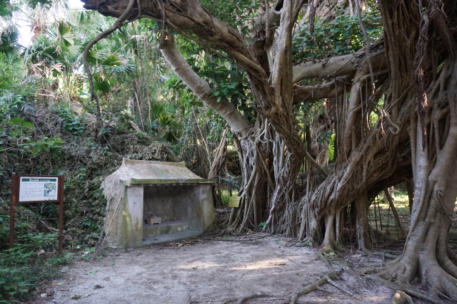 神秘に包まれたシルミチュー洞窟とは？沖縄屈指の聖地の魅力・歴史・アクセス情報を解説