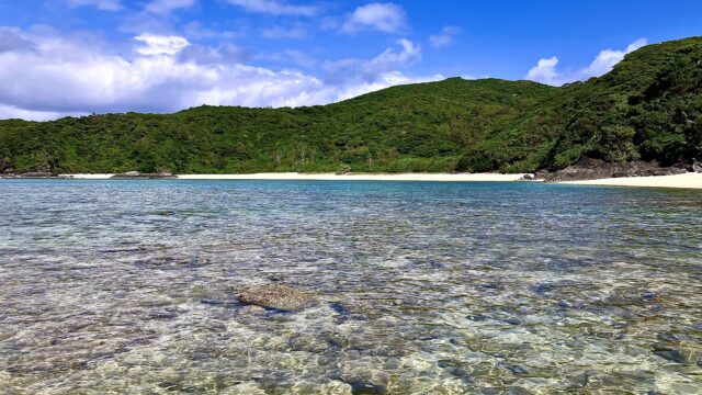 慶良間諸島へのフェリーアクセス完全ガイド｜予約方法や時刻表・料金を詳しく解説 