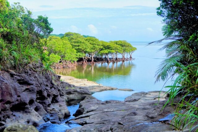 沖縄の世界遺産はいくつ？自然と歴史に触れるおすすめ現地ツアーや見どころをご紹介！