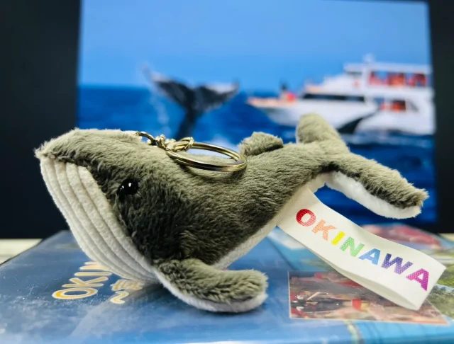 ホエールウォッチング　クジラのキーリング