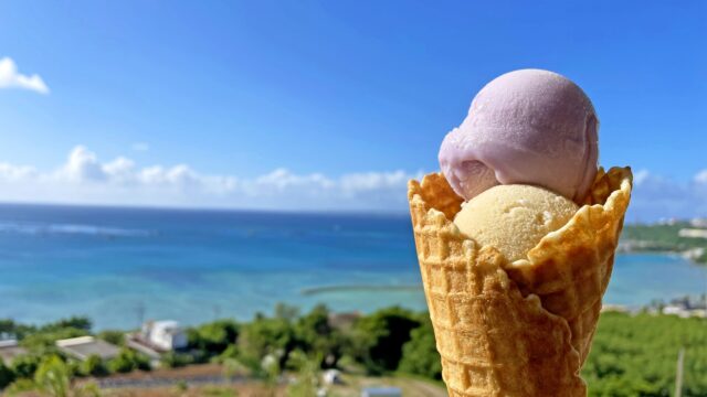 沖縄 本部町 アイスクリンカフェARK あいすくりん