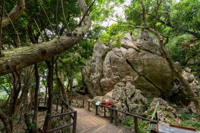 大石林山