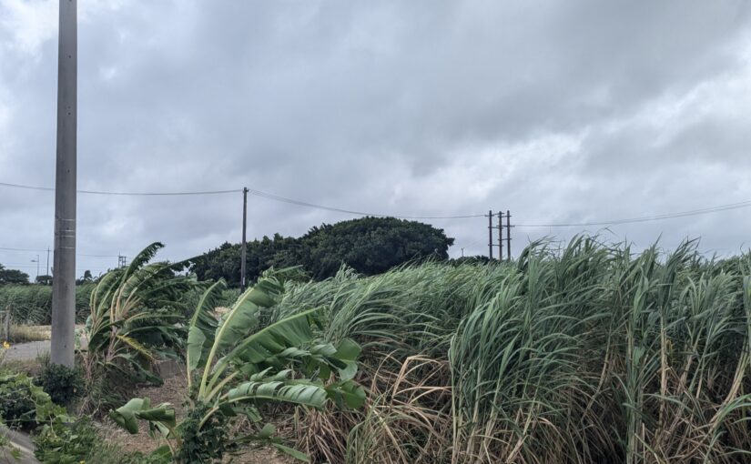 沖縄の台風はいつが多い？発生しやすい時期と旅行前の予報チェックなど対策ガイド