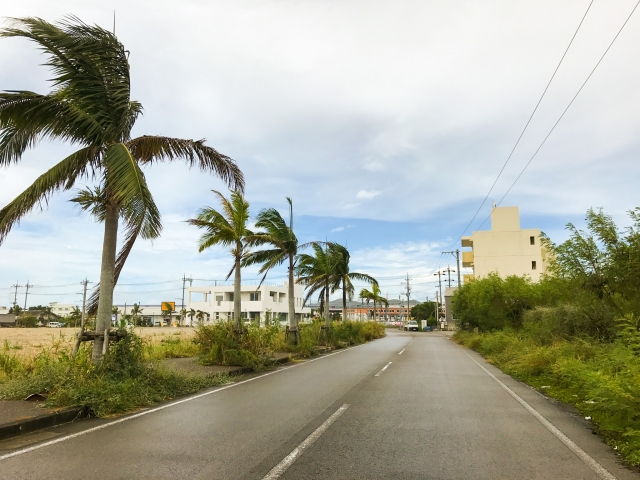 沖縄の台風はいつが多い？発生しやすい時期と旅行前の予報チェックなど対策ガイド