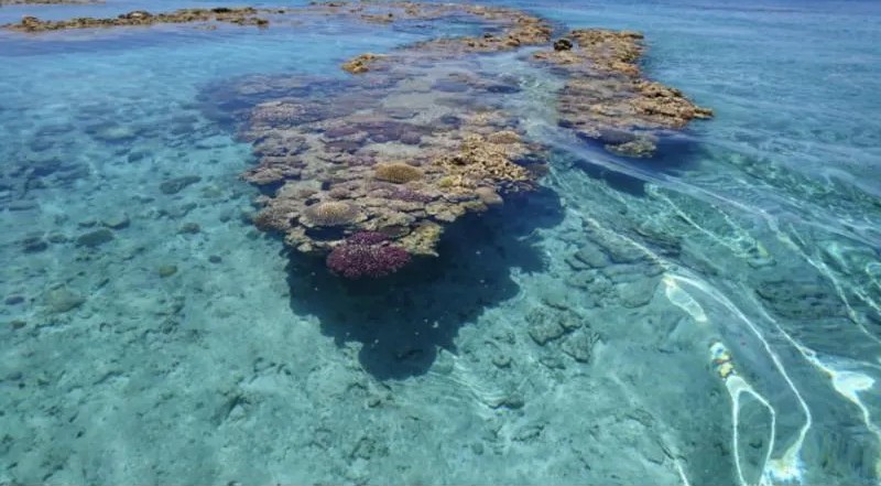 【瀬底島・水納島/1日】非日常を味わうリゾート体験☆完全貸切で離島の楽園へ！ジェットスキー＆マリンスポーツ遊び放題プラン《写真＆動画プレゼント・7名まで》（No.55）