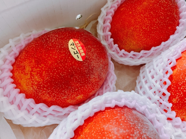 宮古島 フルーツ