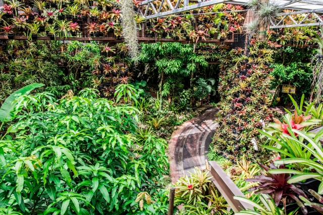 パイナップルパーク