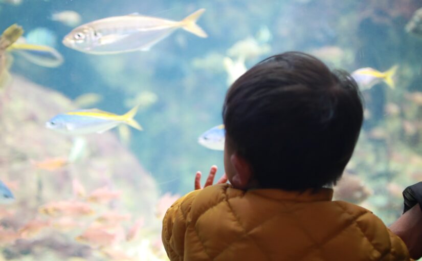 家族で水族館