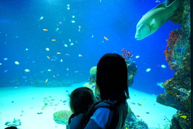 水族館 家族