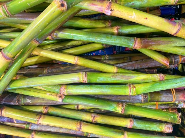 黒糖 サトウキビ