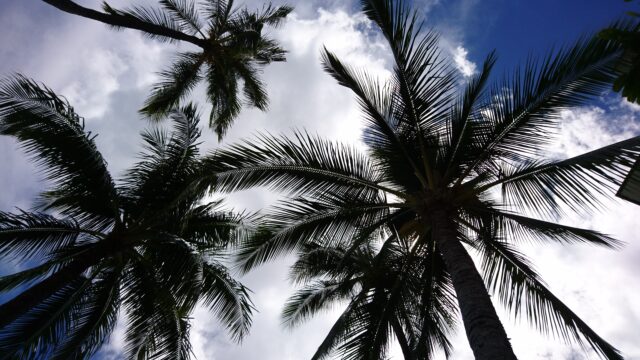 沖縄　ハレクラニ