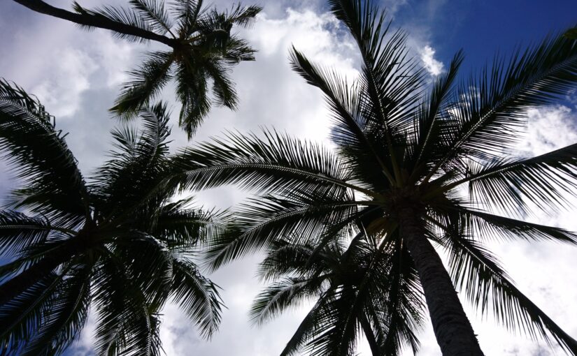 沖縄　ハレクラニ