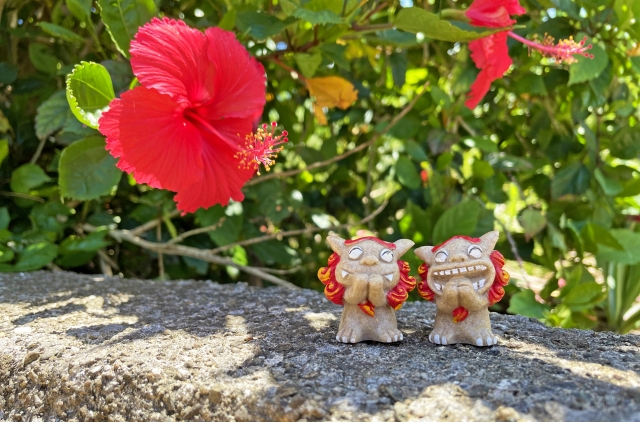 沖縄　ハイビスカス