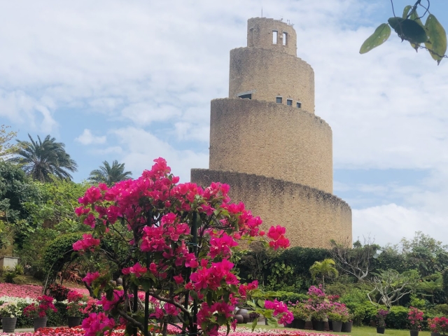 熱帯ドリームセンター