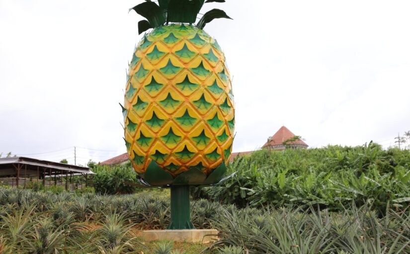 パイナップルパーク