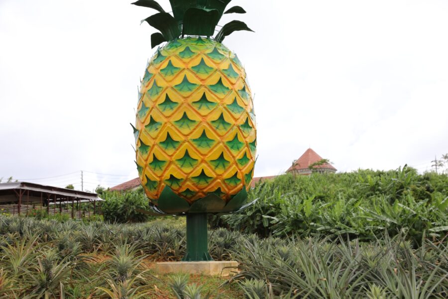 パイナップルパーク