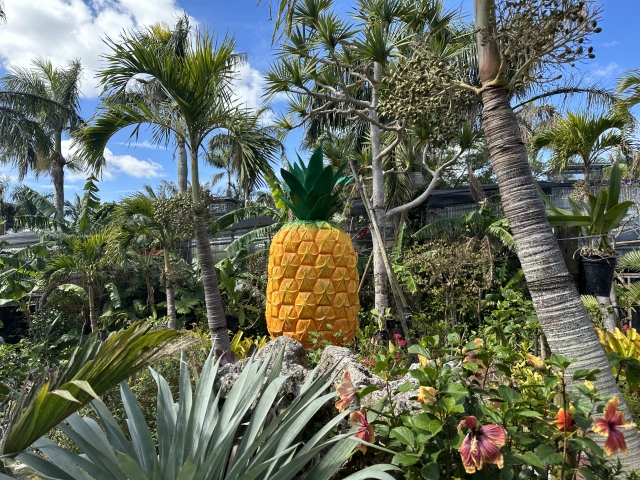 パイナップルパーク