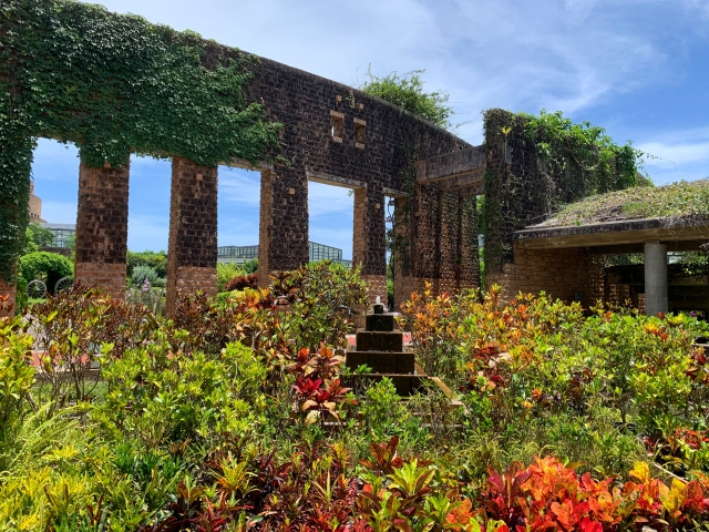 熱帯ドリームセンター