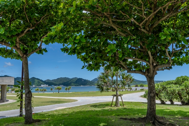 名護市　森公園