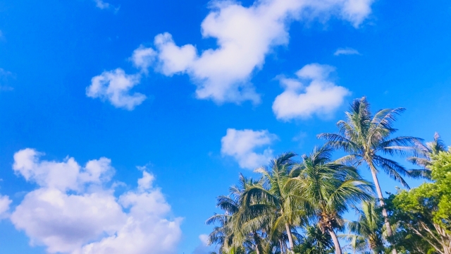 沖縄　旅行　目的