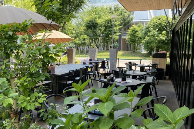 カフェ　テラス