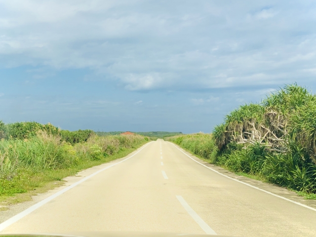 沖縄　一周　歩く