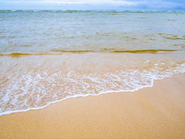 渡具知ビーチ　透明度