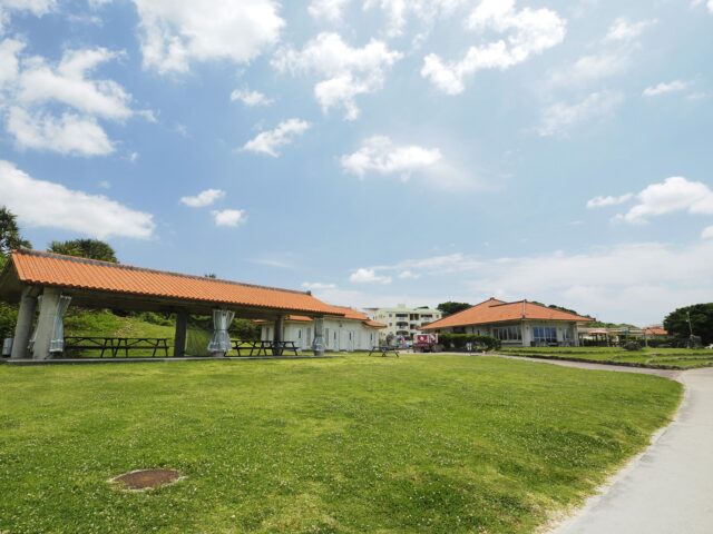 渡具知ビーチ　芝生