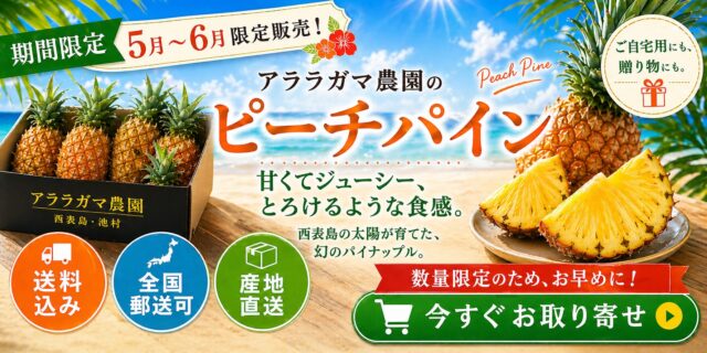 西表島パイン通販