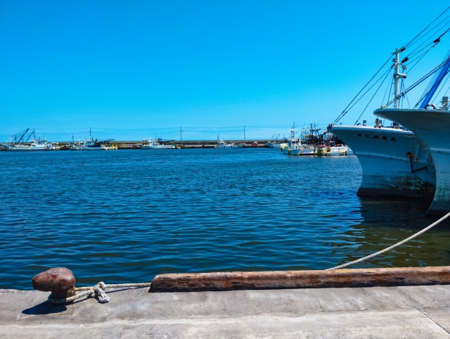 雲ひとつない青空の下、漁港に停泊する複数の白い漁船。手前には係留用のビット（ボラード）が見える。
