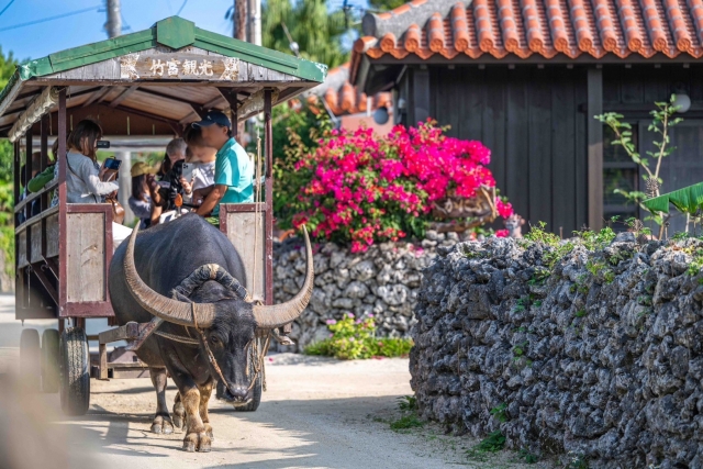 竹富島　フェリー　観光