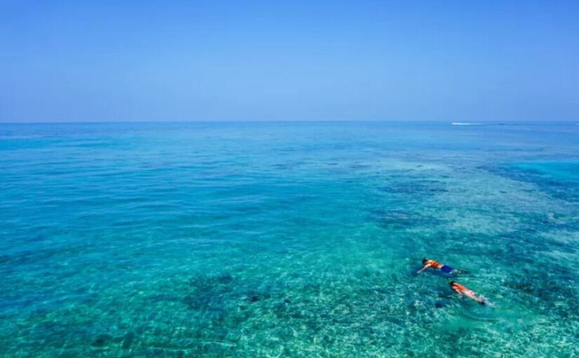 どこまでも続くエメラルドグリーンの澄んだ海で、シュノーケリングを楽しむ二人の様子。