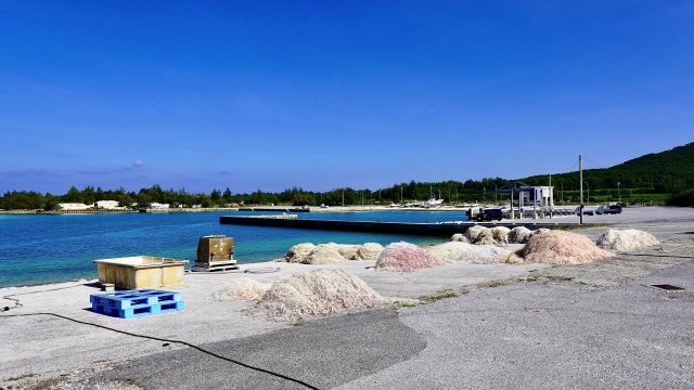 漁港の広場に干された大量の漁網。背景にはエメラルドグリーンの海と緑豊かな山々が広がる。