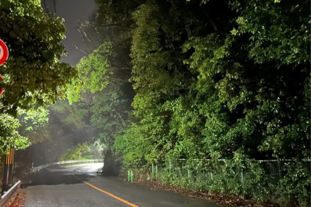 夜　車道　カーブ