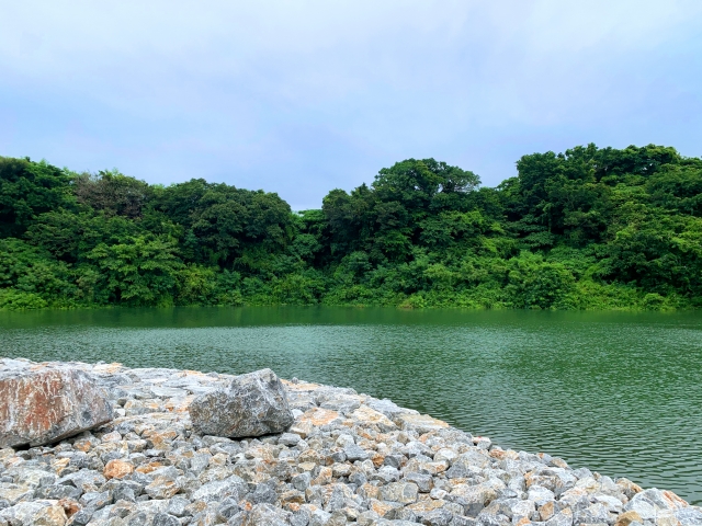 緑に囲まれた比謝川の穏やかな川面の風景