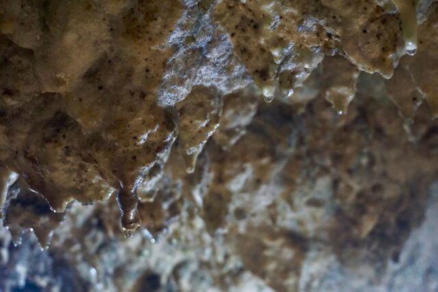 CAVE OKINAWA