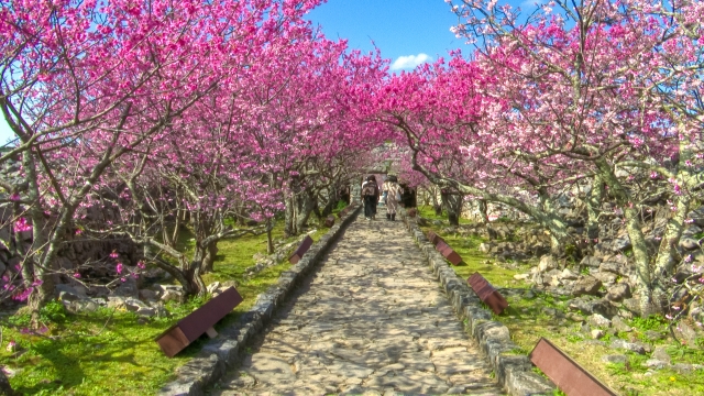 名護城公園