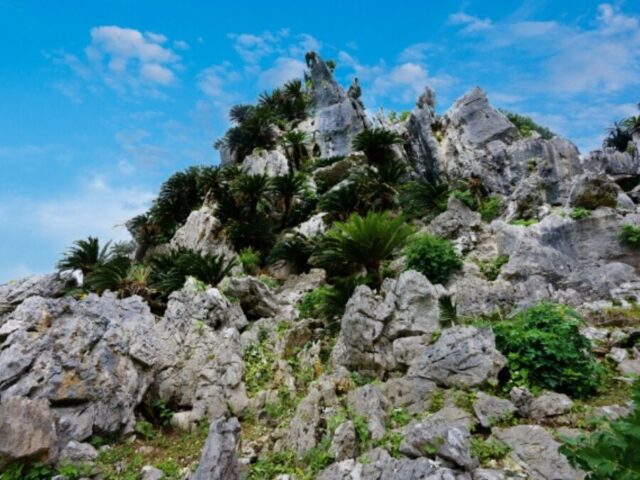 沖縄 大石林山