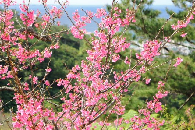 Nago Castle Park