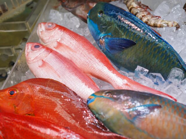 市場に並ぶ魚