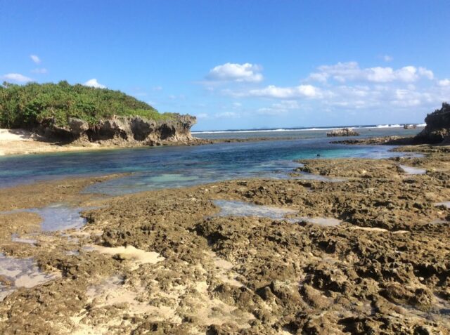 比斯基崎