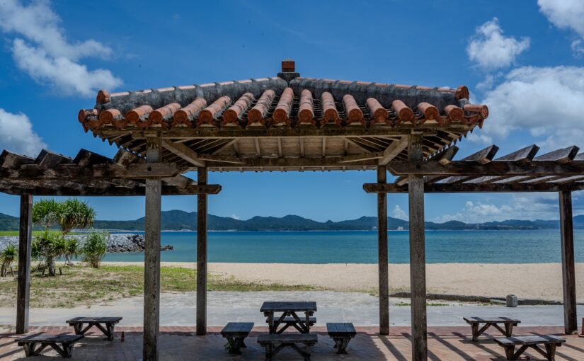 21 世纪森林海滩