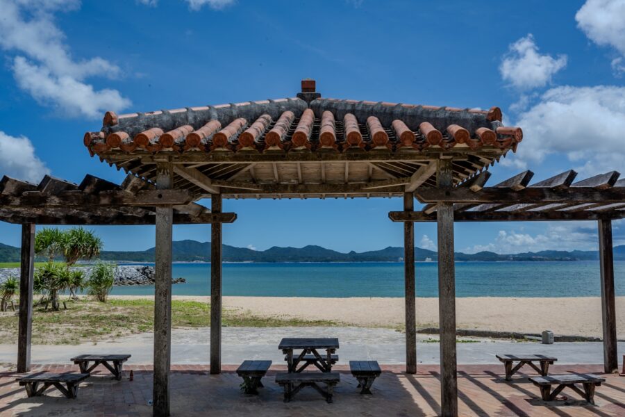 21 世纪森林海滩