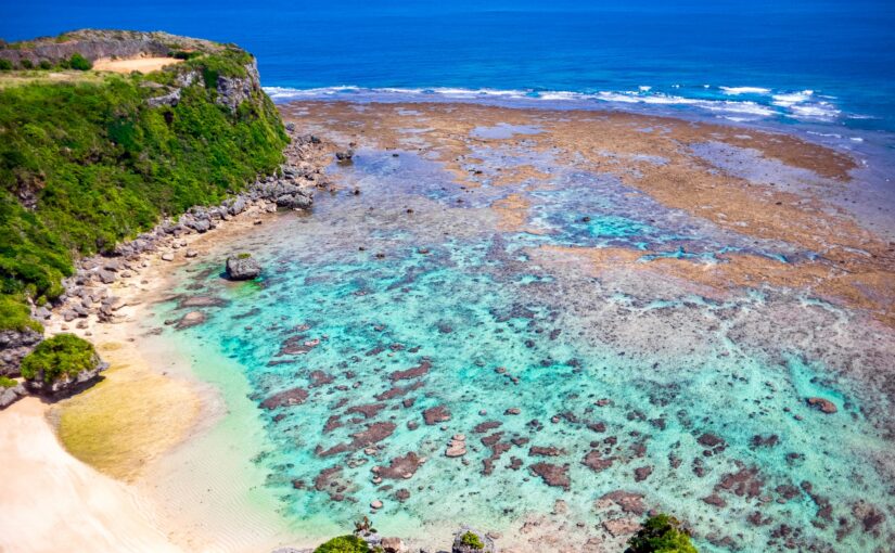 果報バンダ