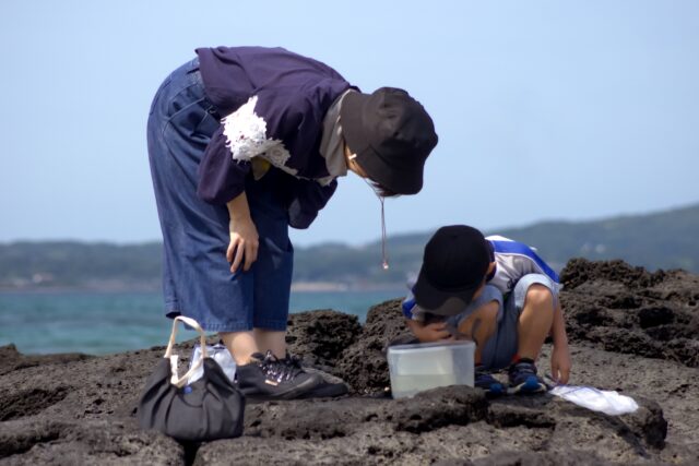 磯遊び